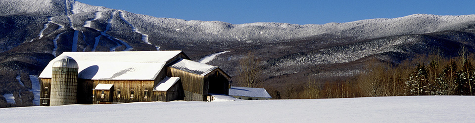 Vermont business health care solutions